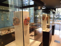 Medium_7，展示コーナー　1-3